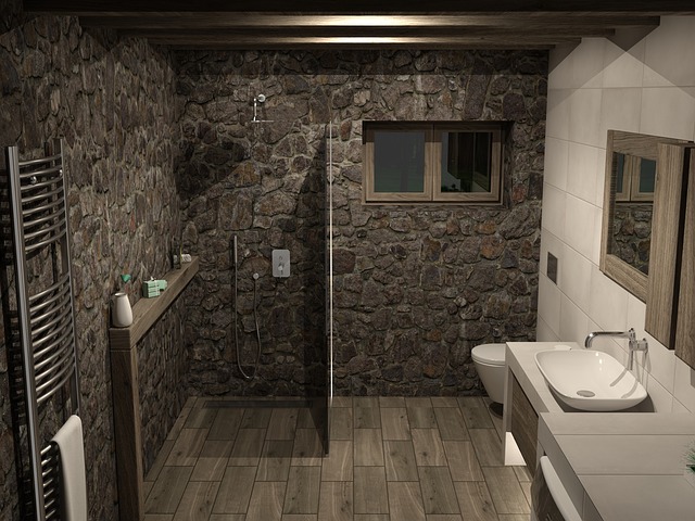 miska WC