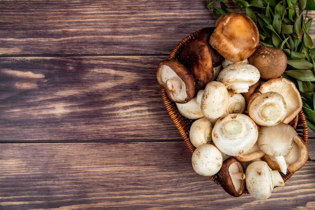 Coś dla wegan, wegetarian i mięsożerców – top 3 pomysły na dania z grzybami