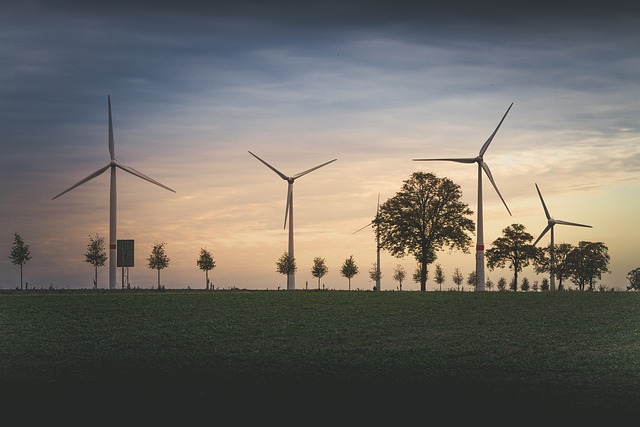 Energetyczna Rewolucja: Jak Efektywność Energetyczna Przekształca Biznes i Środowisko